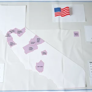 Redistricting map proposal illustration for California