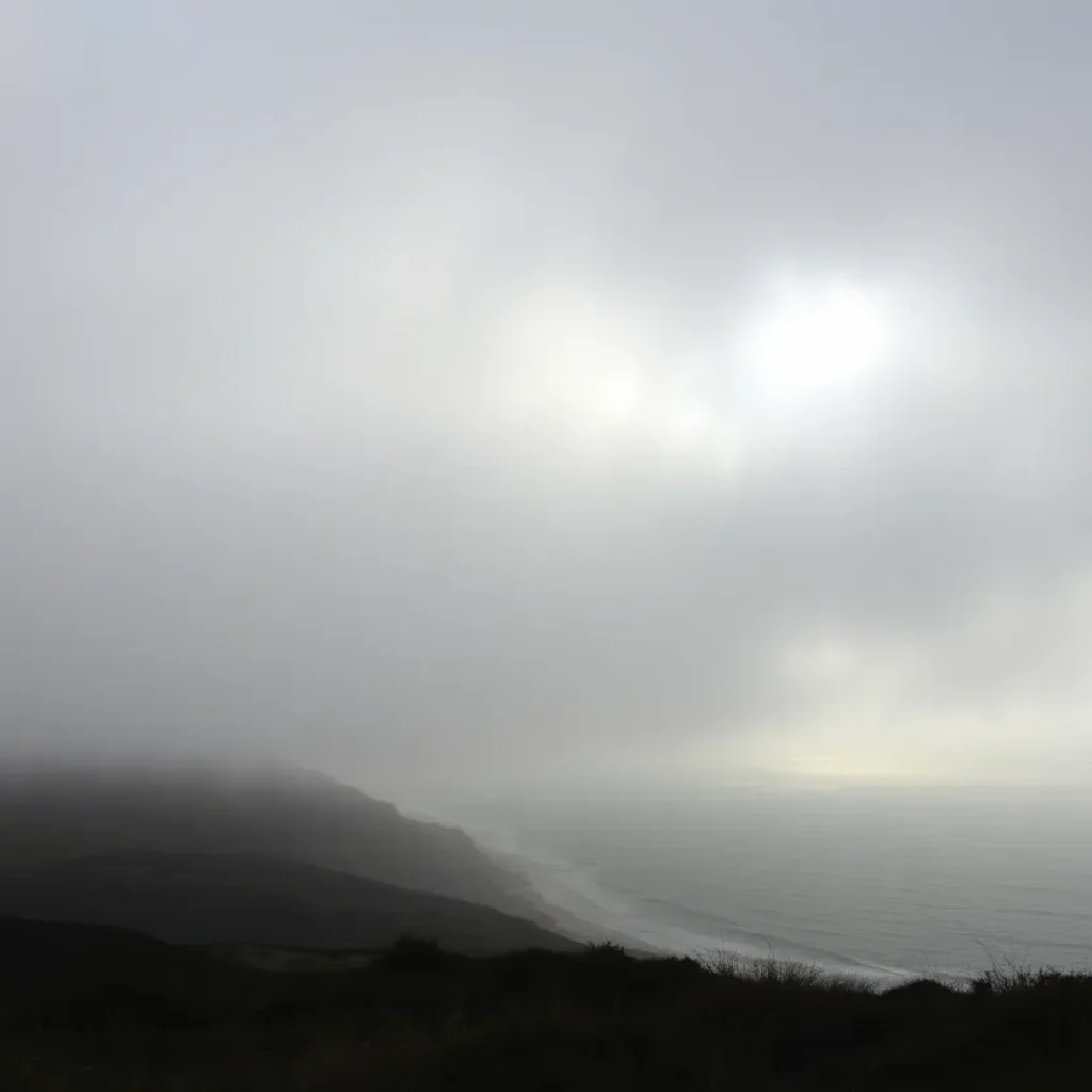 Foggy coastal landscape in California during cooler temperatures
